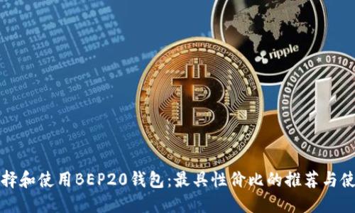 如何选择和使用BEP20钱包:最具性价比的推荐与使用指南