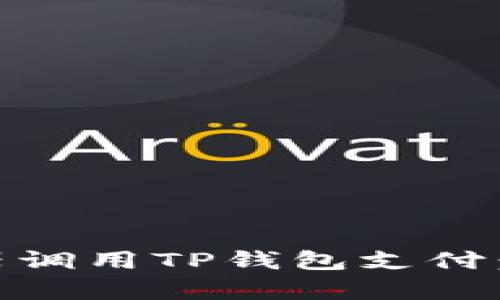 如何通过DApp浏览器调用TP钱包支付:全面指南与最佳实践