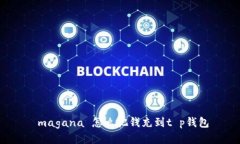  magana 怎么把钱充到t p钱包