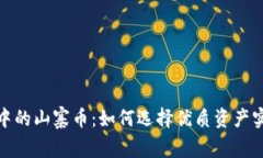 探索TP钱包中的山寨币：如何选择优质资产实现财