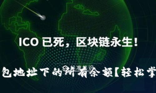 如何查询TP钱包地址下的所有余额?轻松掌握方法与技巧