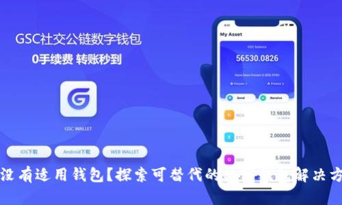 TP没有适用钱包?探索可替代的数字钱包解决方案