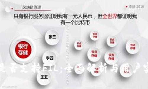 TP钱包是否支持FIL:全面解析与用户实用指南