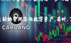 要将英文的TP钱包转换为中文，可以按照以下步骤