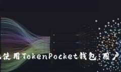 如何安全高效地使用TokenPocket钱包：用户指南与实
