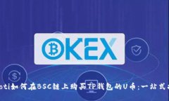 diaoti如何在BSC链上购买TP钱包的U币：一站式指南