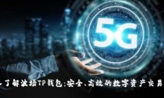 深入了解波场TP钱包：安全、高效的数字资产交易