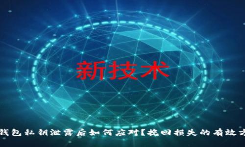 TP钱包私钥泄露后如何应对?挽回损失的有效方法