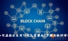 如何在国区使用TP钱包苹果版？步骤与技巧详解