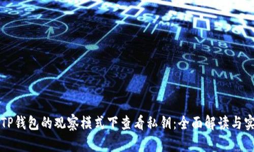如何在TP钱包的观察模式下查看私钥：全面解读与实践指南