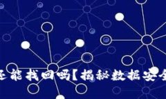 TP钱包被盗立案后还能找回吗？揭秘数据安全与资