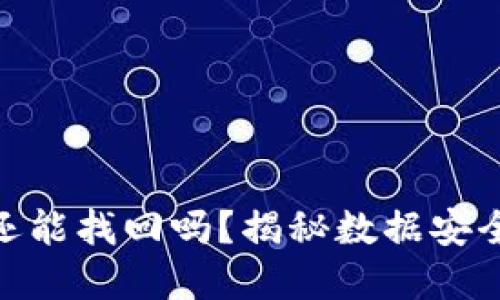 TP钱包被盗立案后还能找回吗？揭秘数据安全与资产保护的关键