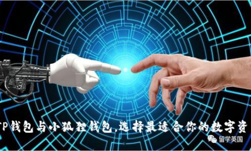 全面解析：TP钱包与小狐狸钱包，选择最适合你的数字资产管理工具