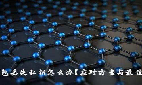 TP钱包丢失私钥怎么办?应对方案与最佳实践
