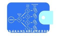 TP钱包丢失私钥怎么办？应对方案与最佳实践