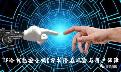 TP冷钱包安全吗?分析潜在风险与用户保障