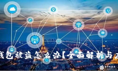 最近TP钱包被盗怎么办?全面解析与应对措施