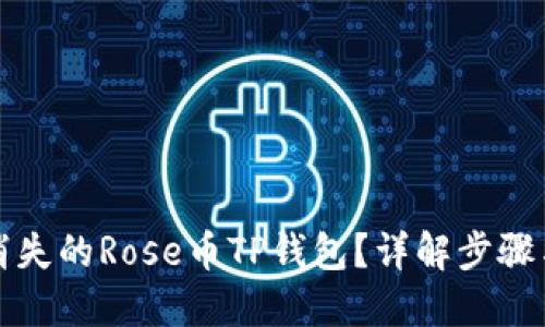 如何找回消失的Rose币TP钱包?详解步骤与解决方案