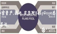 babydoge是一种在加密货币市场中逐渐受到关注的代