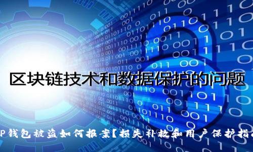 TP钱包被盗如何报案?损失补救和用户保护指南