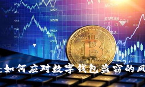 保护你的资产：如何应对数字钱包盗窃的风险与解决方案