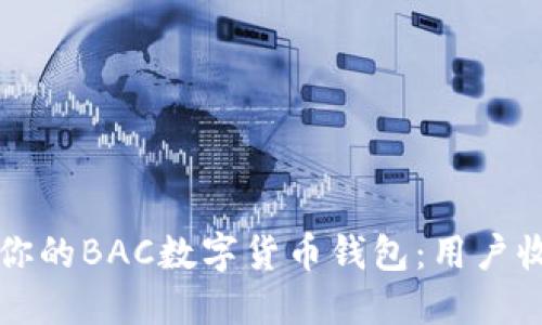 如何选择适合你的BAC数字货币钱包:用户收益与价值指南