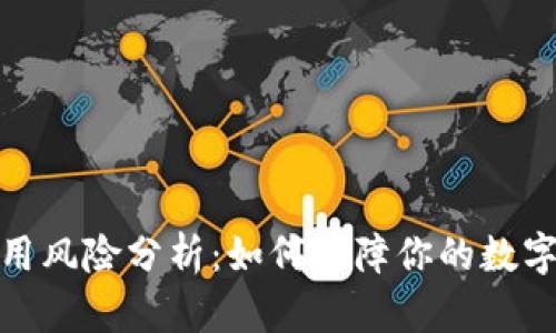TP钱包使用风险分析：如何保障你的数字资产安全