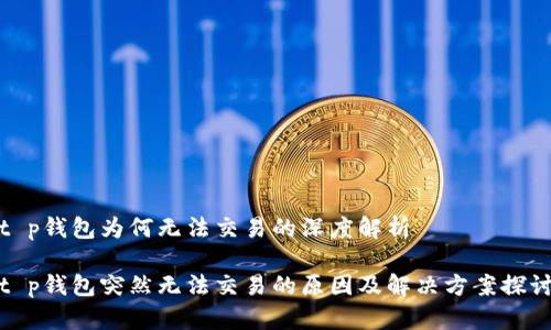 t p钱包为何无法交易的深度解析

t p钱包突然无法交易的原因及解决方案探讨